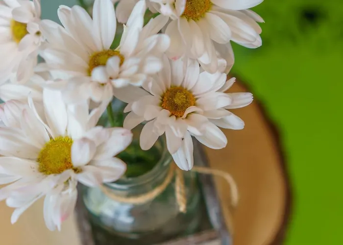 Loft Folk Lejlighed Zakopane